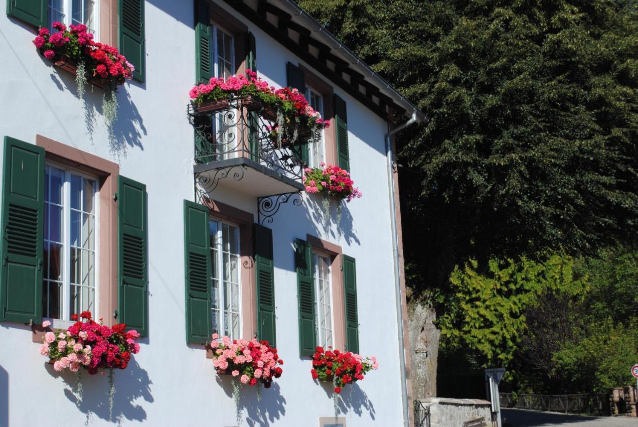 Bed and Breakfast La Vieille Eglise Le Hohwald Zewnętrze zdjęcie